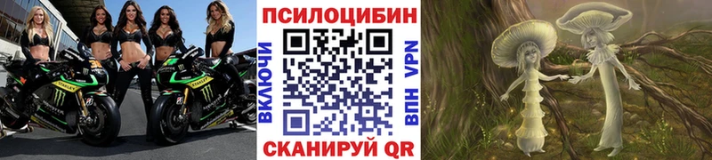 Псилоцибиновые грибы Psilocybine cubensis  как найти   Эртиль 
