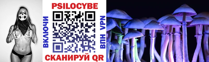 Галлюциногенные грибы Magic Shrooms Эртиль